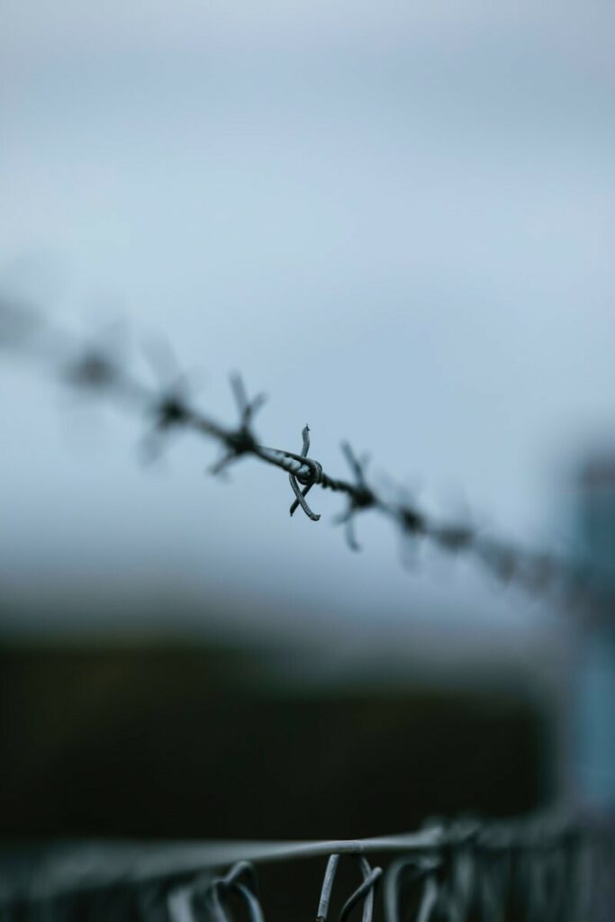 water droplets on gray wire